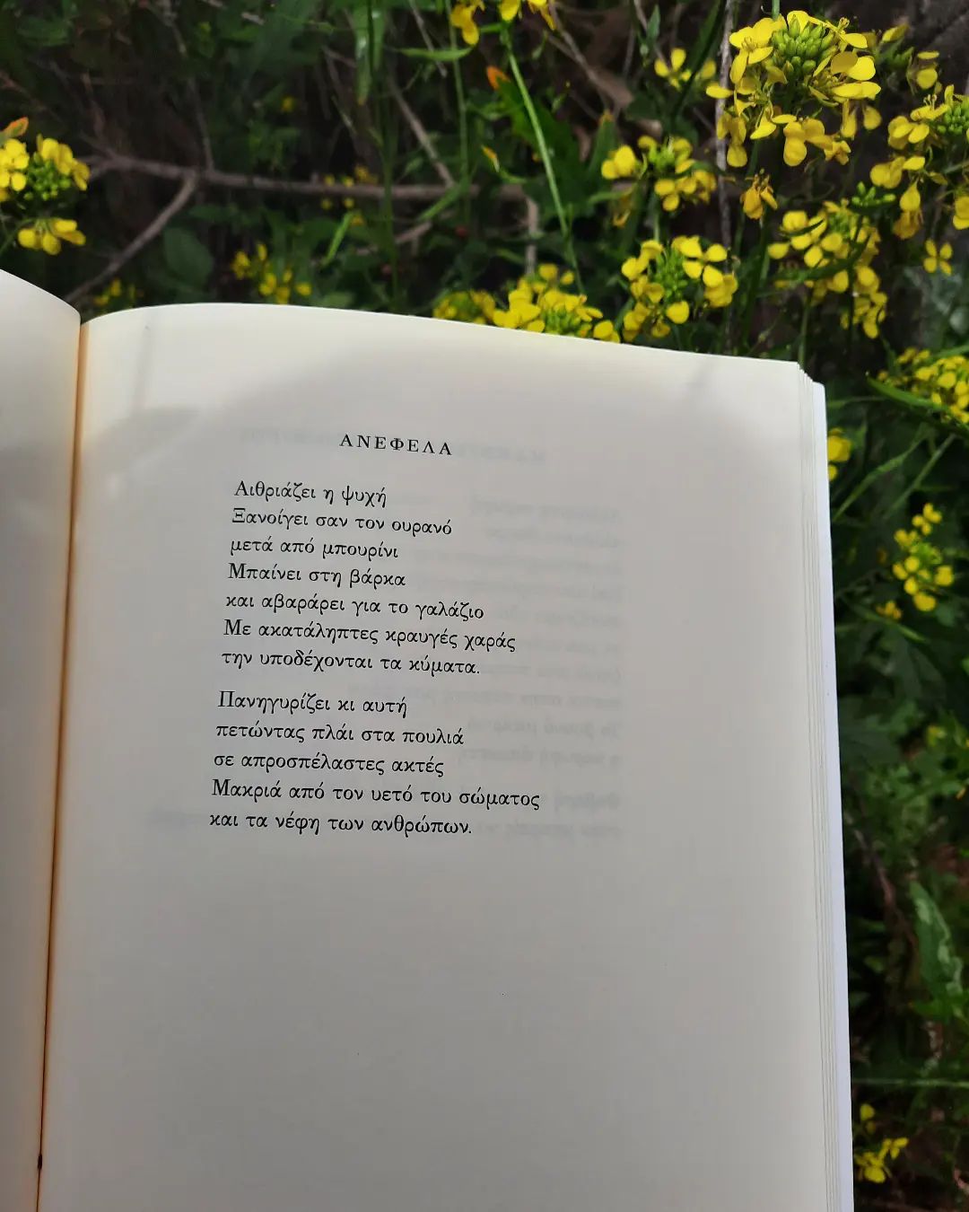 «Ροές και θρομβώσεις» | @my.bookstories