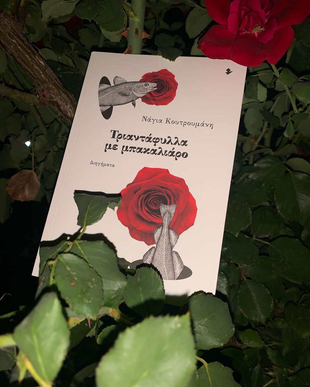 «Τριαντάφυλλα με μπακαλιάρο» | @the_bookprint